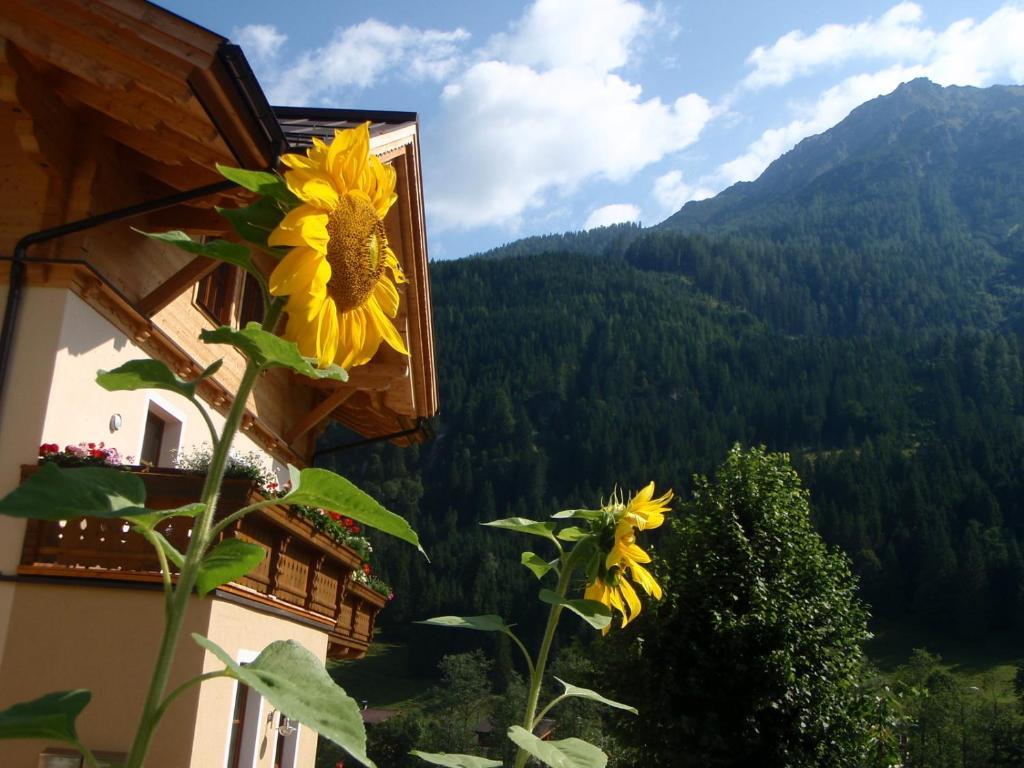 Apartamento Arche Hof Oebristhof Kleinarl Exterior foto